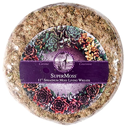 SuperMoss (22341) Sphagnum Moss Living Wreath - Round, Natural/Organic, 11"