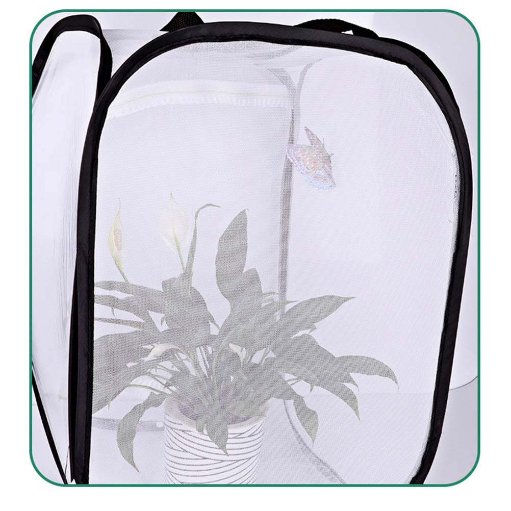 Jaula De Malla Para Mariposas De 33x37 Cm – Hábitat Plegable Con Cremallera, Ligera Y Portátil, Ideal Para Educación Y Observación En Jardín O Granja