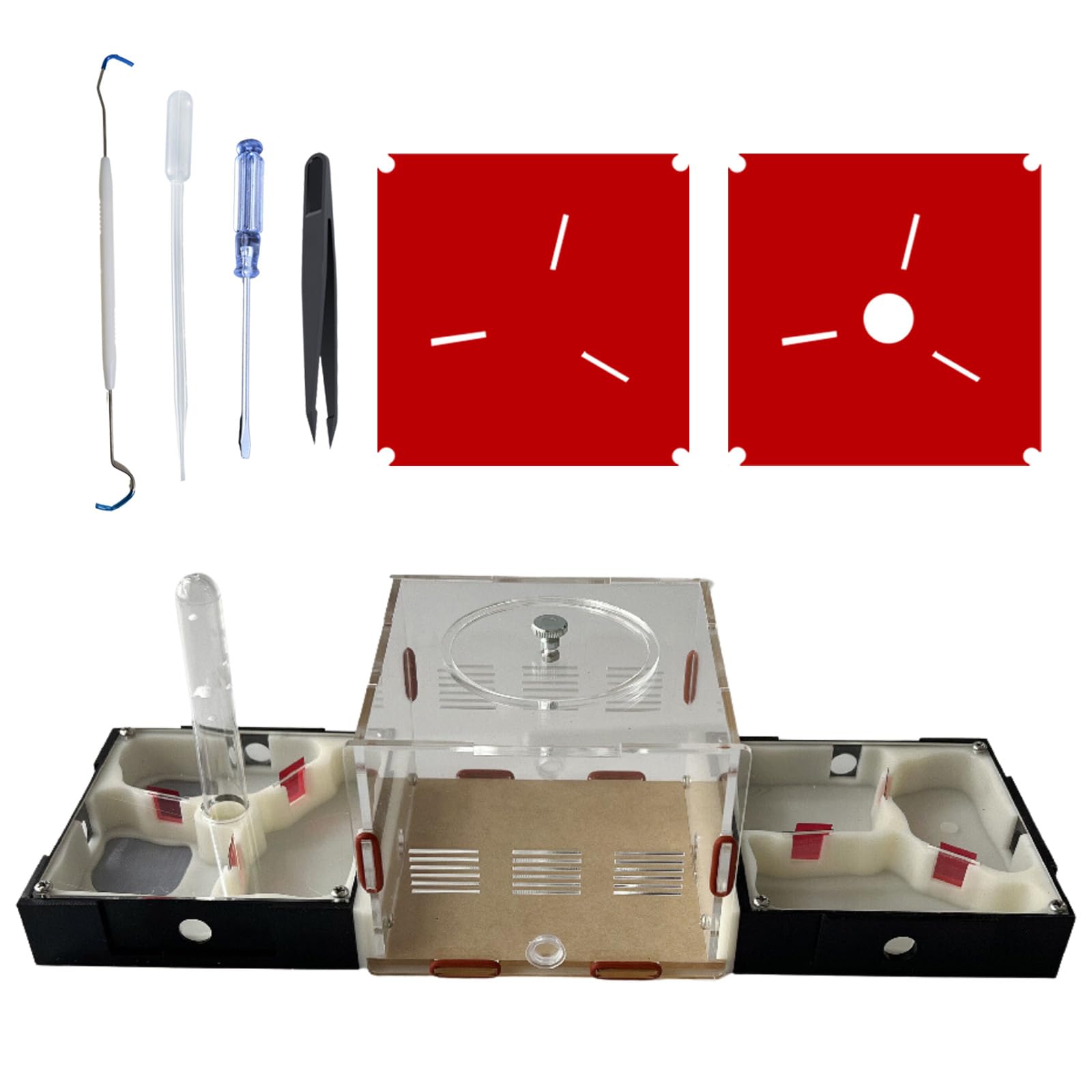 Ants FootstepsFarm Castle Ant Habitat Science Learning Kit With Water Tower, Nurturing Room and Multi-Angle Observing Tools(2)