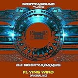 Flying Wind (Original Mix)
