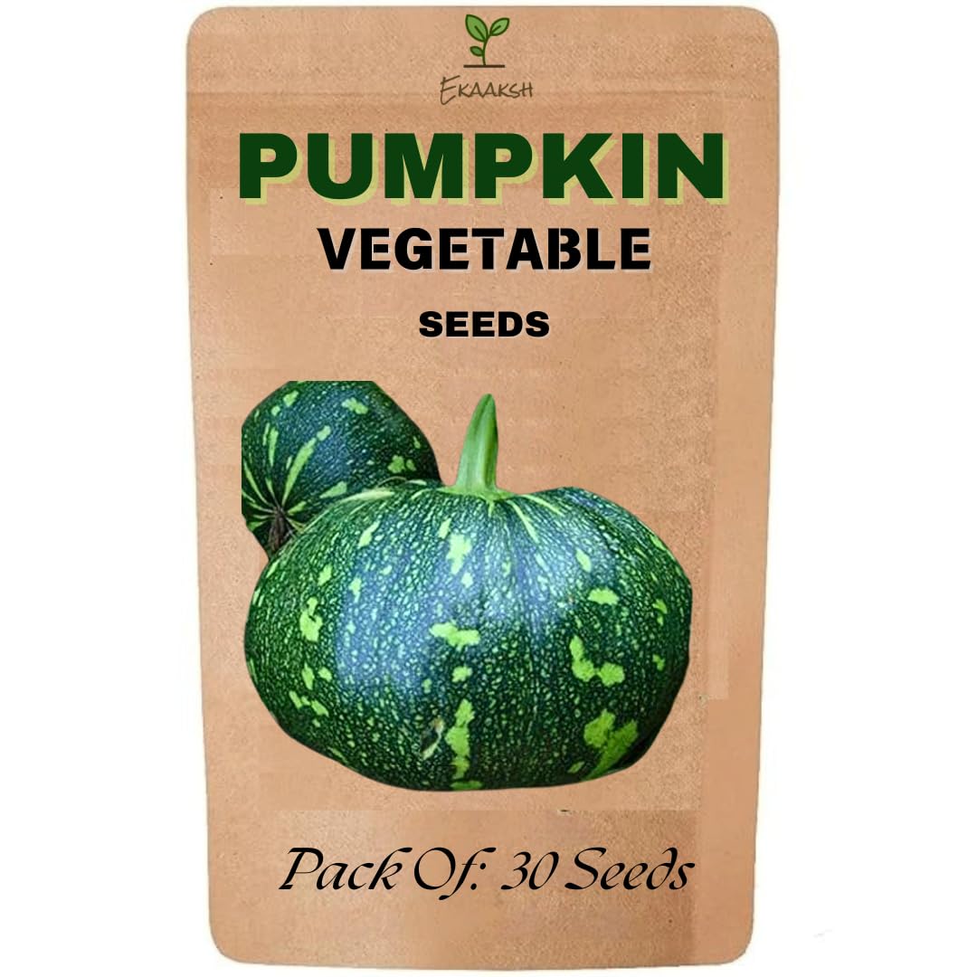 Ekaaksh - Pumpkin Vegetable Green Seeds + Free Seed Germination Paper + Planting Guide - New Seeds with Test Result - Best for Pots, Terrace & Kitchen Gardening-image-23