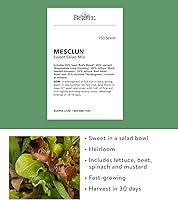 Vista 2 de Burpee Sweet Salad Mix Mesclun Seeds 750 semillas