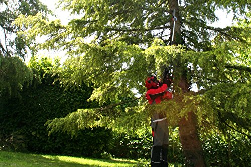 Mitox 28PP Select Petrol Pole Pruning Saw, Red - Image 3