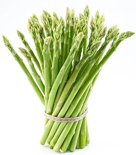 25 Asparagus Roots Jersey Knight - Tasty - No GMOs