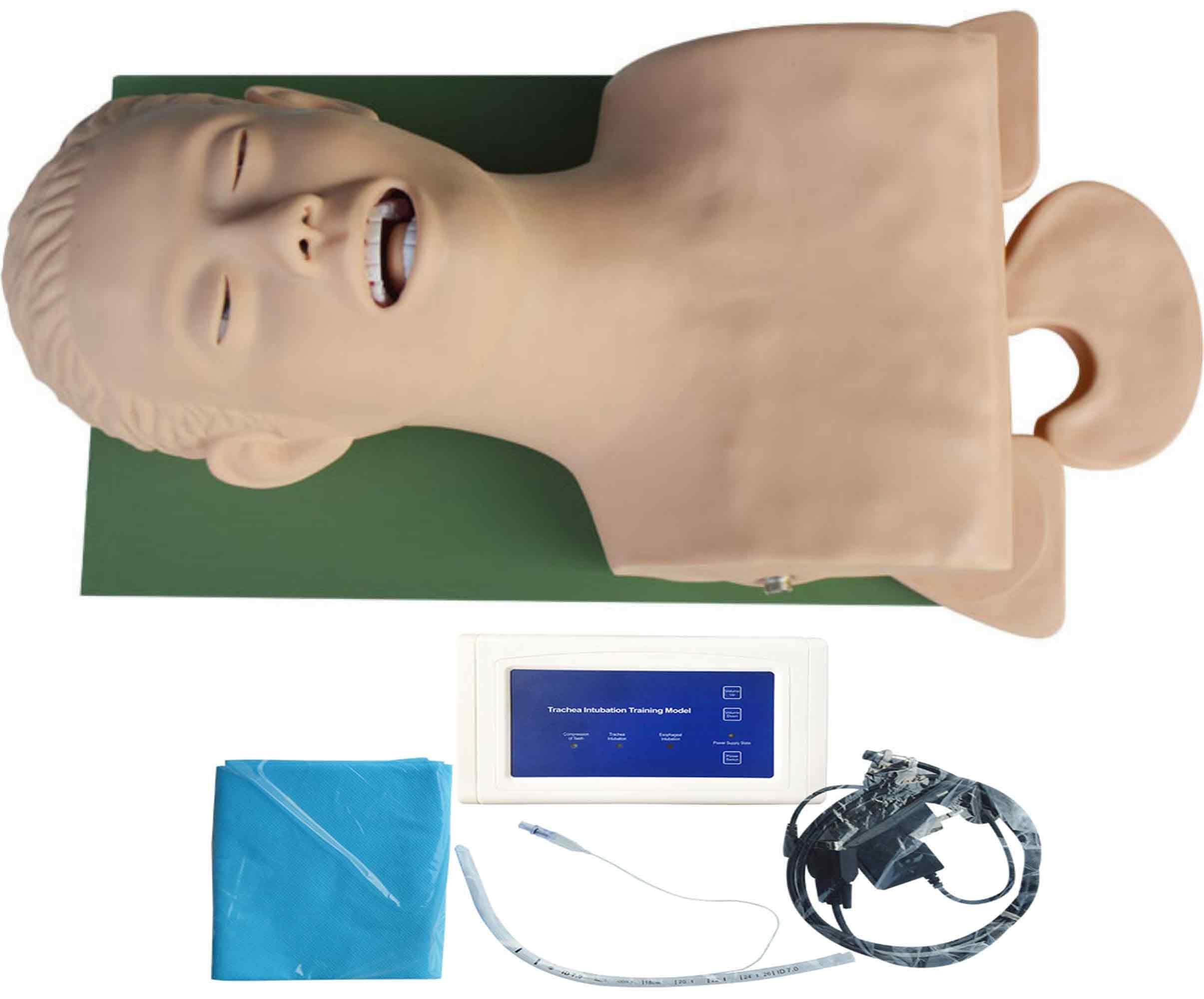 BEILOCKERY 110V-220V Airway Management Trainer Intubation for Intubation Training, Electronic Human Trachea Intubation Model with Electronic Alarm Function