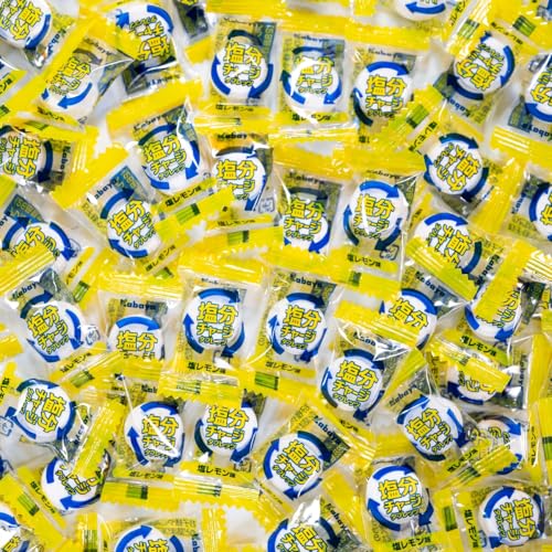 塩分チャージ タブレッツ 熱中症対策 (塩レモン味 100粒)のサムネイル