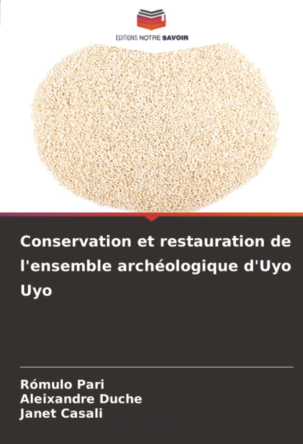 Conservation et restauration de l'ensemble archéologique d'Uyo Uyo
