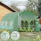 VOUNOT Gewächshaus Foliengewächshaus Winterfest Tomatenhaus Folientunnel, 3x3x2m 9m²