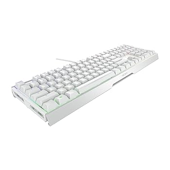 CHERRY XTRFY RGB 赤軸　フルサイズ　キーボード　英語配列　白色 Amazon | CHERRY XTRFY G80-3890HIACN-0 ゲーミングキーボード