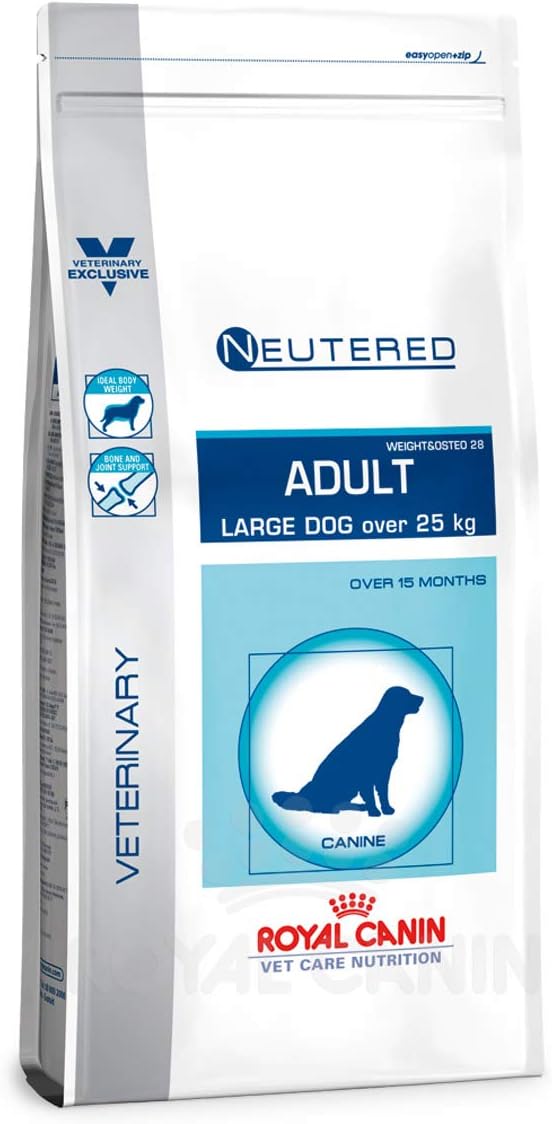 top rated flea shampoo