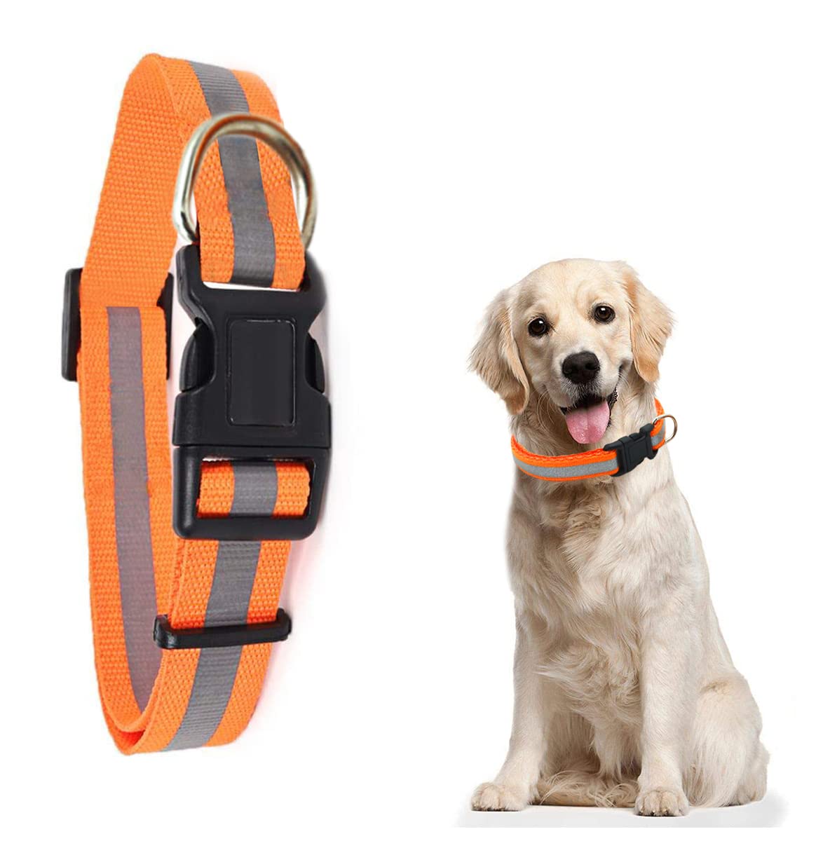 Western Era Dog Collar, Good Stitched, Lightweight, Strong, Durable,, Weaving Technology, Beautiful, Multiple Colors Provides , Running, Jogging, or Walking (B0B8S3LW3N) Amazon Price History, Amazon Price Tracker