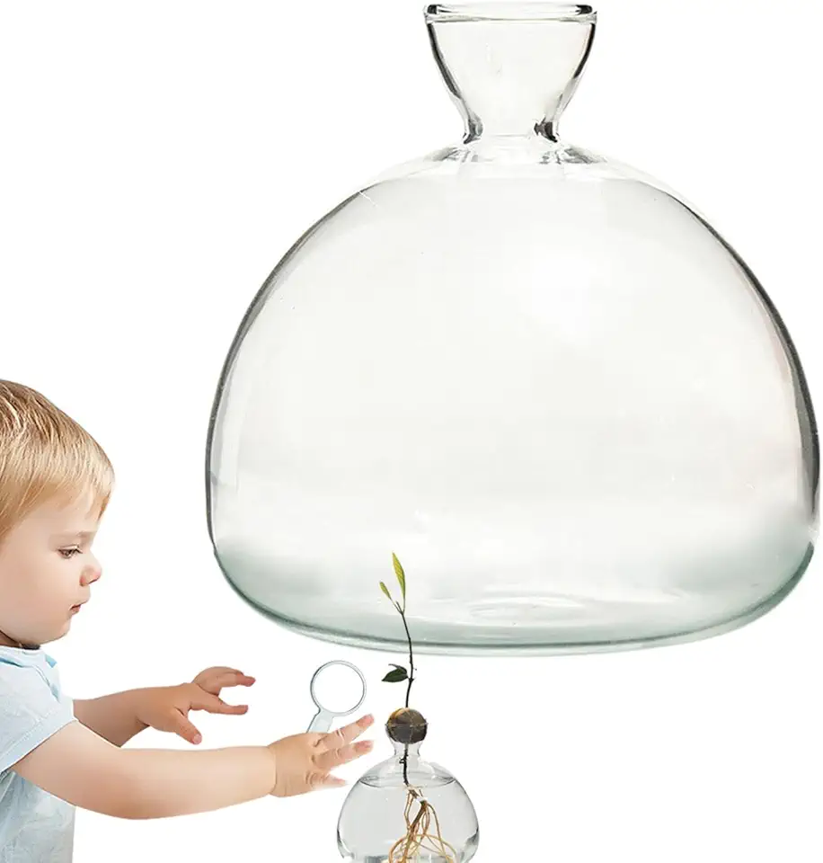 Avokadoodlingskit med glasvas för växter.