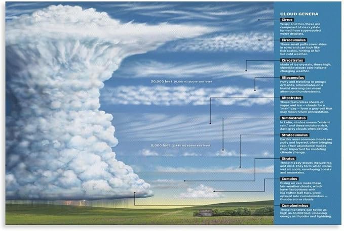 Amazon.com: The Types of Clouds Poster Cloud Chart Canvas Painting ...