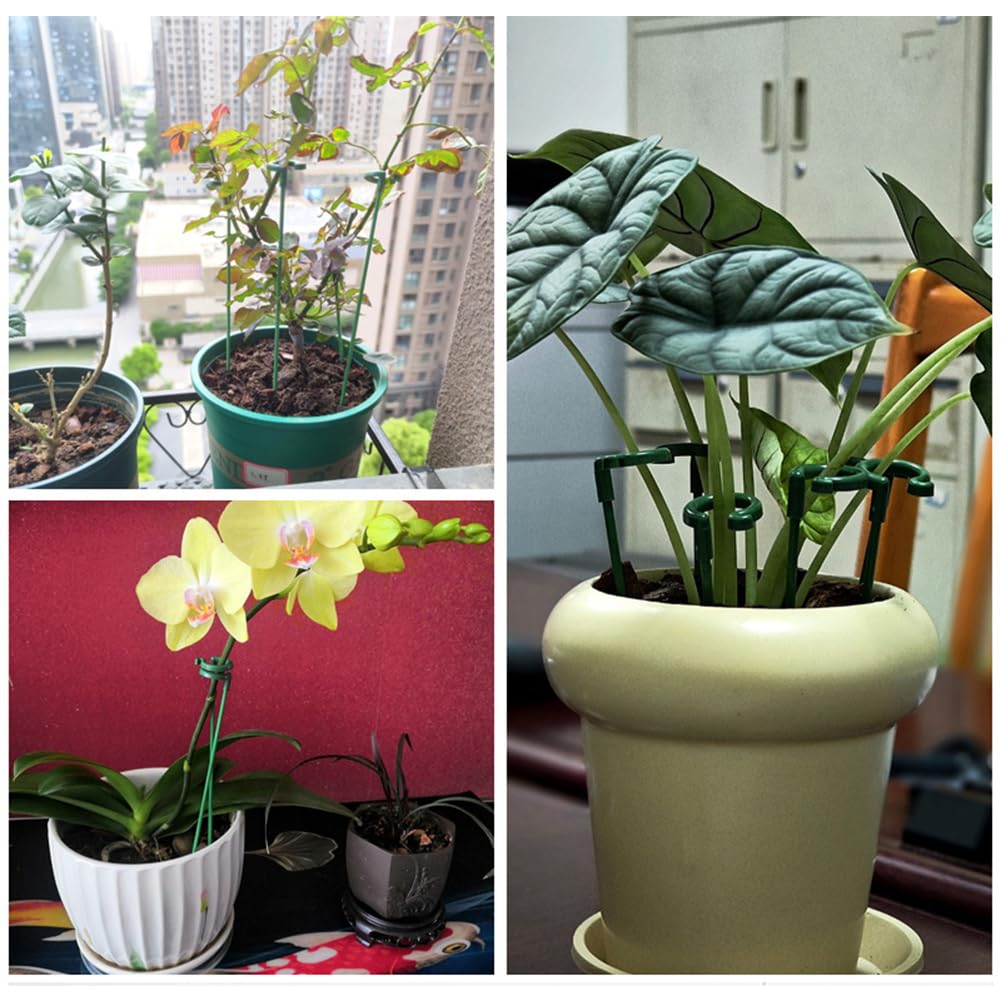 Plant Support Sticks - Grow Climbing Flowers -6