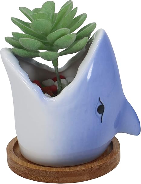 Amazon Com Gemseek 可愛鯊魚多肉植物花盆 附排水托盤 白色陶瓷仙人掌 花卉容器 動物魚盆栽架 適用於室內植物 露臺 草皮與花園