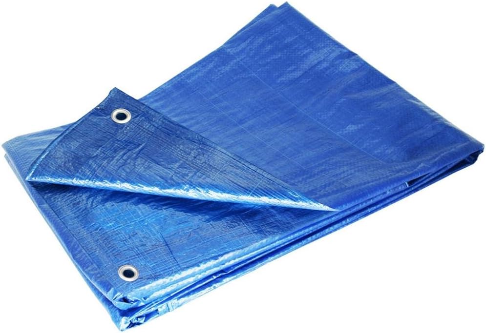 GTRP2030 20-Feet X 30-Feet Blue Multi-Purpose 6ml Waterproof Poly Tarp Cover with Tent Shelter Camping Tarpaulin by Grizzly Tarps