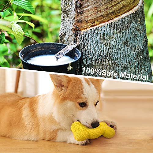Petper Cw-0096EU Quietschendes Hundespielzeug aus Latex, Welpenspielknochen mit Dornen, Spielzeug zum Spielen und zum Training