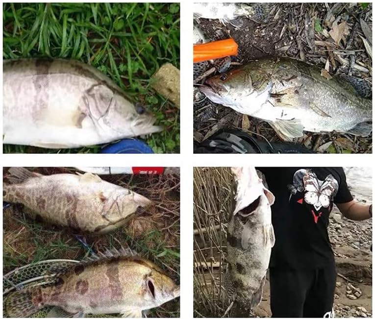 Miniatura 6 de FANGBLUE 40 unidscaja 0.12 oz cabeza de plantilla gancho T-cola señuelos suaves de silicona artificial cebo gusano suave pesca señuelo Bass carpa