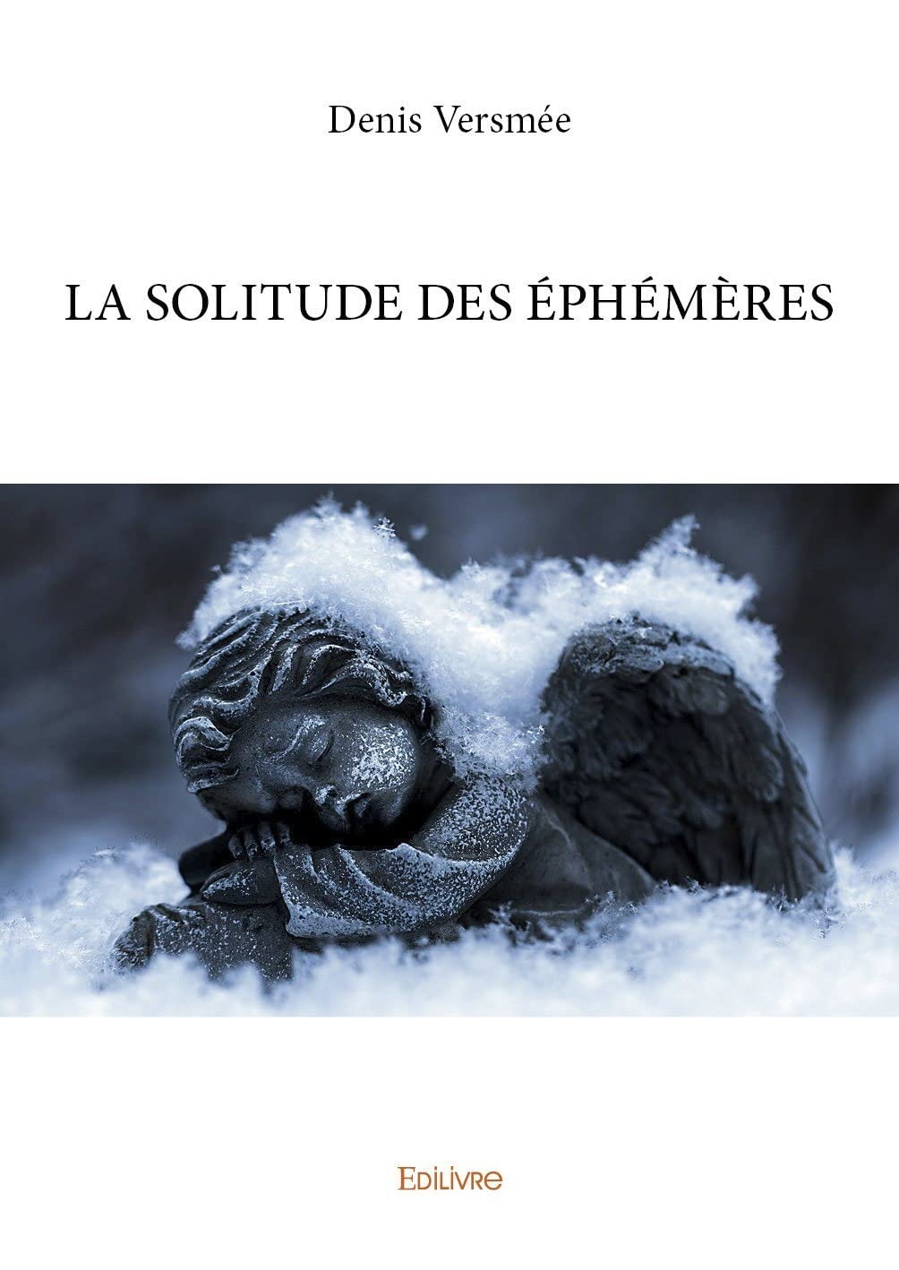 La Solitude des éphémères (French Edition)