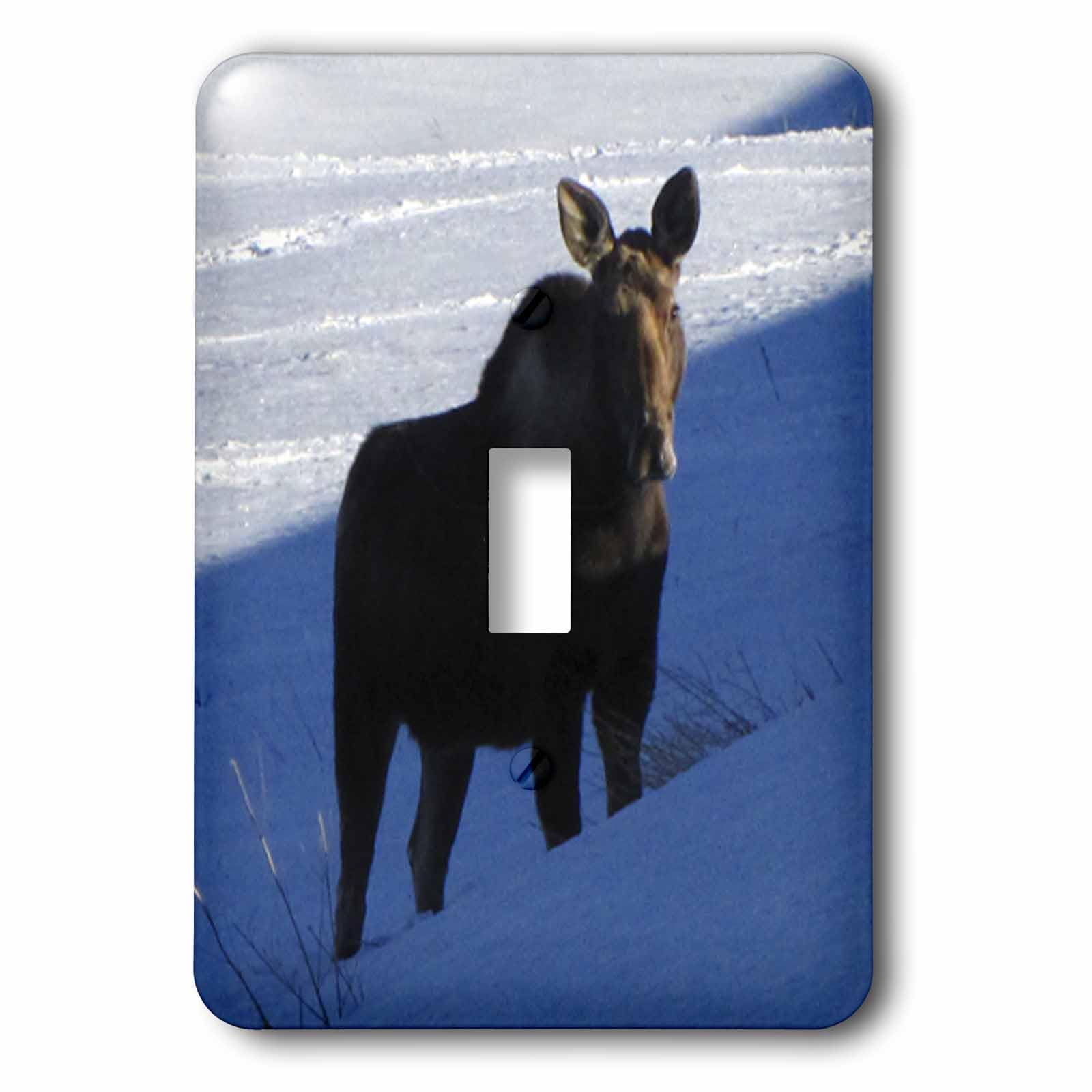 Interrupteur à bascule unique vache d'orignal neige motif faune sauvage