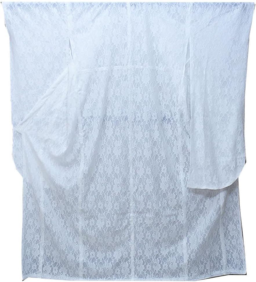 モノトーン振袖 銀彩加工 豪華刺繍 牡丹菊紋 成人式 フルセット フル