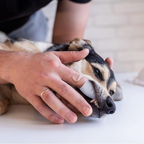 Miniatura 6 de CONSIO 4 cepillos de dientes de dedo de perro, utiliza silicona de grado alimenticio, fácil limpieza de dientes, cuidado dental para cachorros,