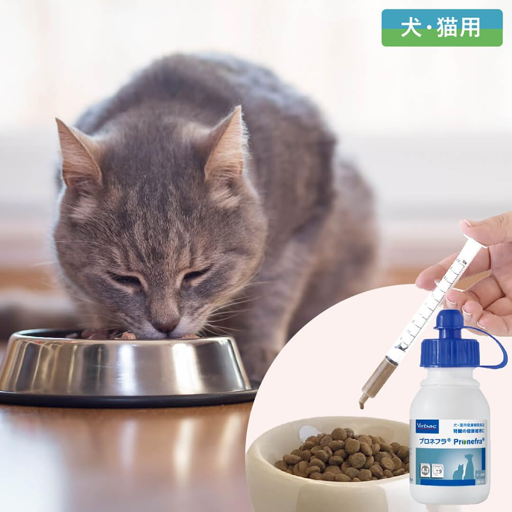 Amazon.co.jp: プロネフラ Pronefra 60ml 1個 オリジナルティッシュ同