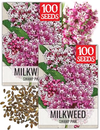 Image of Seed Needs Pink Swamp Milkweed Seeds for Monarch Butterflies 2 Packs