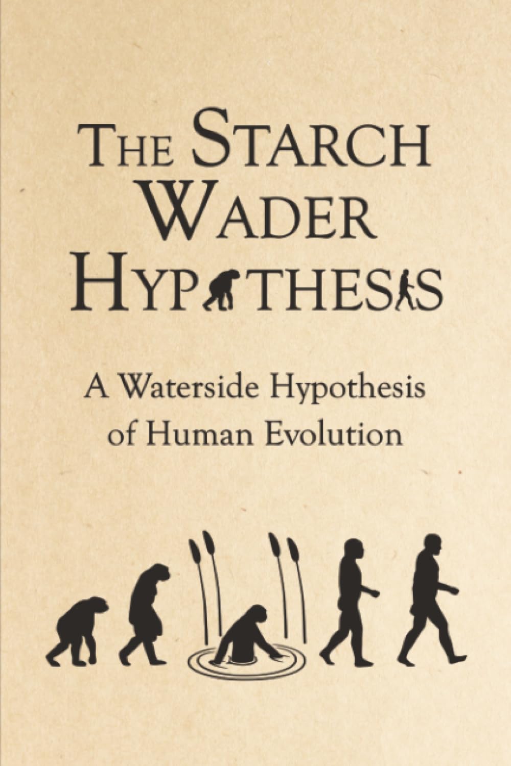 The Starch Wader Hypothesis: A Waterside Hypothesis of Human Evolution