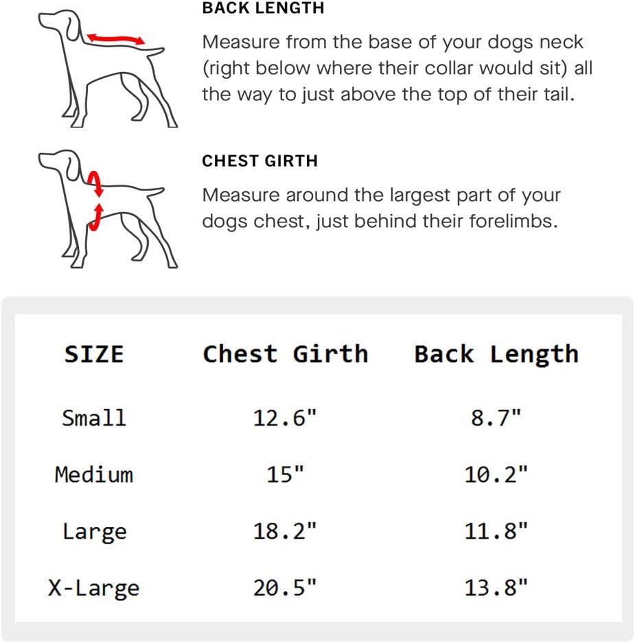 LICH Dog Surgery Recovery Onesie After Surgery Wear, Pet Surgical Snugly Suit Protection Shirt for Male Female Puppy Cat Cone & E-Collar Alternative : Pet Supplies