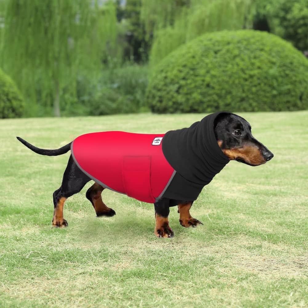 Dachshund Coats, Dog Winter Coat Warm Waterproof, Dachshund Raincoat Waterproof Clothing, Miniature Dog Coat - Image 3