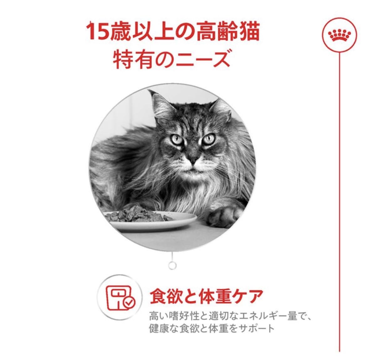 Amazon | ロイヤルカナン FHN エイジング 15+ 高齢猫用 15歳以上 (2kg