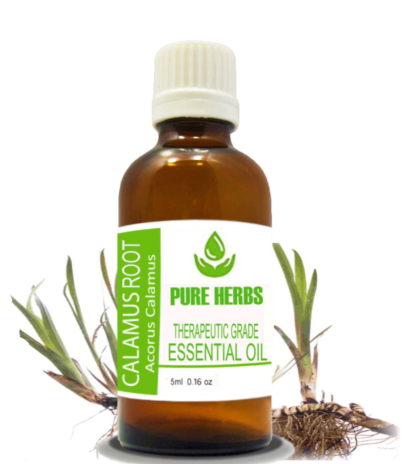 PH Calamus Root (ACORUS Calamus) Pure & Natural Therapeutic Grade Essential Oils Without Droppers (500ml)