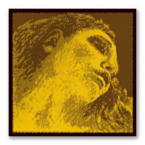 CUERDAS VIOLA - Pirastro (Evah Pirazzi Gold 425021) (Juego Completo) Viola 4/4