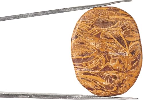 Miniatura 2 de GEMHUB Jaspe mookaita natural amarillo marrón Cabuján ovalado 24.95 CT. Piedra preciosa suelta para masaje spa piedra energética
