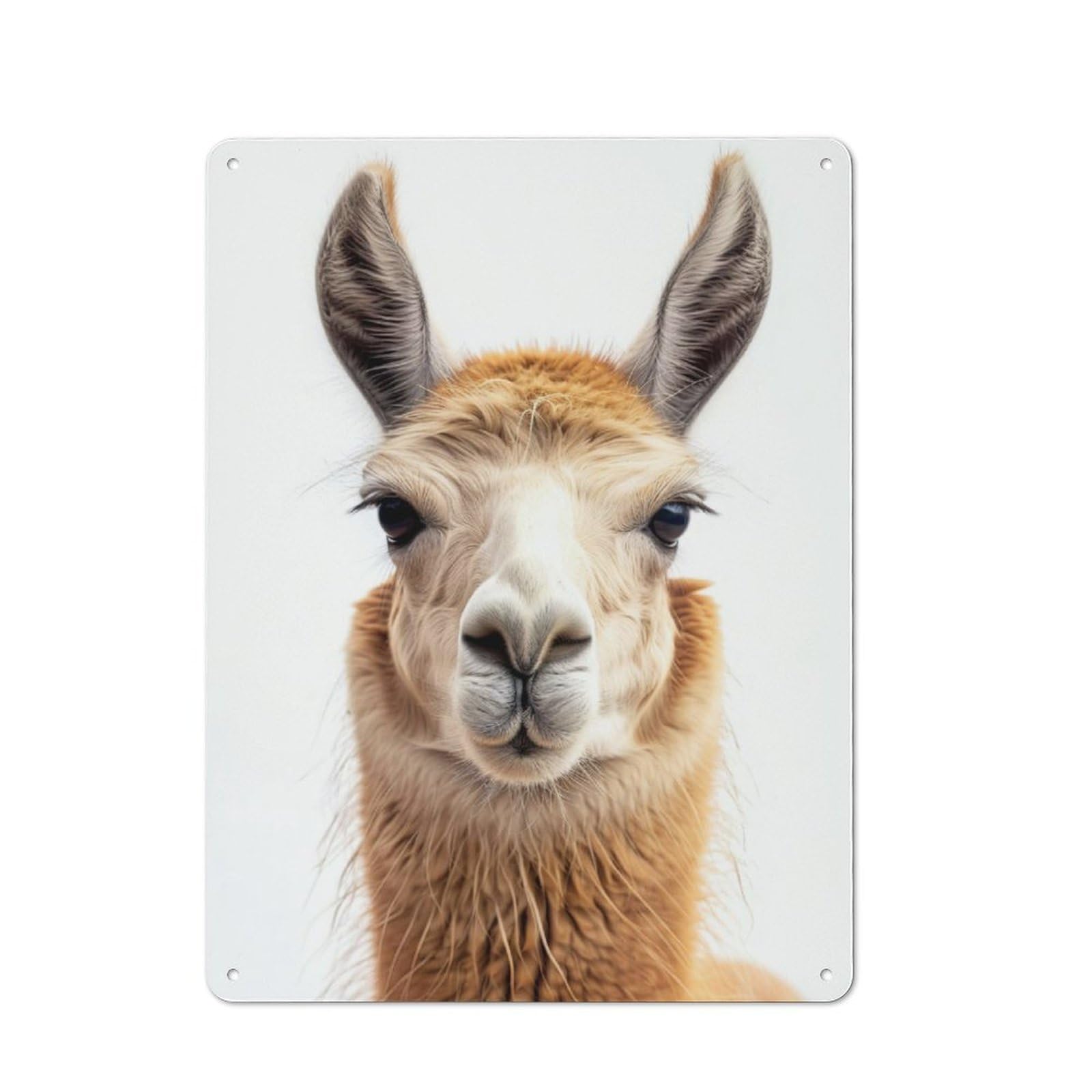 Junmoney Llama Face Rustic Tin Sign 40X30cm For Living Room Or Hallway, Suited To Living Room Decor Lovers