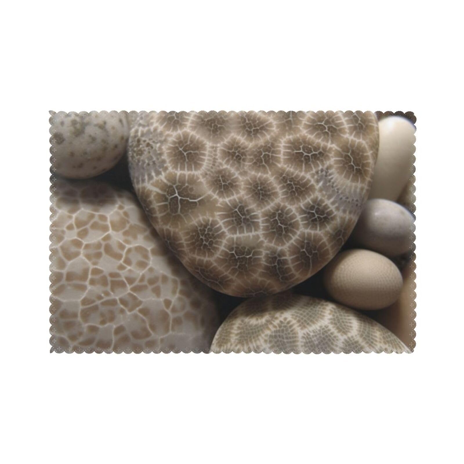 Petoskey Stone Printed Placemat Heat Resistant Place Mats Set of 6 PCS Washable Kitchen Table Mats, 12x18 Inch