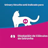 Ver la foto 2