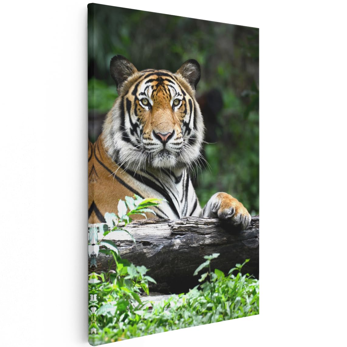 Artaza Cuadros Decoración Salón Modernos Tigre - 80x120 cm - Grande - Cuadros Animales - Decoración Pared - Lienzos - Selva