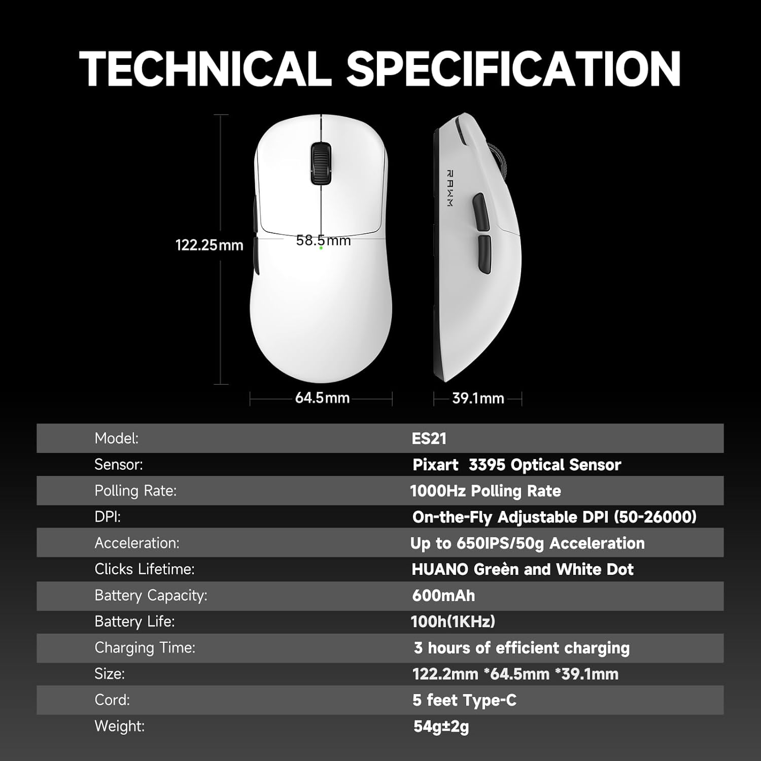RAWM ES21 Technical Specifications table
