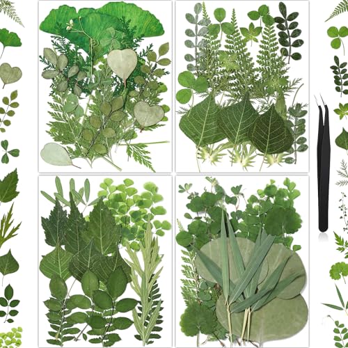 86Pcs Dried Pressed Flowers Leaves for Crafts, Real Natural Dried