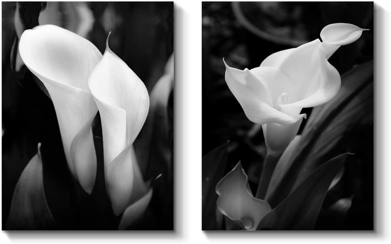 TAR TAR STUDIO Calla Lily Canvas Wall Art: White Flower Artwork Painting Print on Wrapped Canvas Wall Decor Artwork for Walls for Bedroom Decoration (16''x 12'' x 2 PCS, Multiple Sizes)