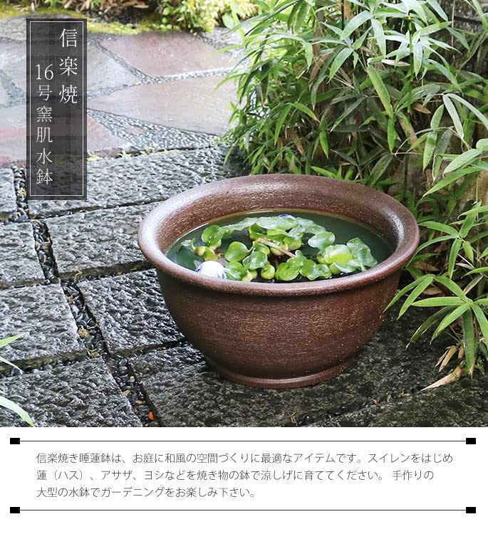 Amazon | 信楽焼 16号ケズリ鈴型すいれん鉢 睡蓮鉢 スイレン鉢 金魚鉢