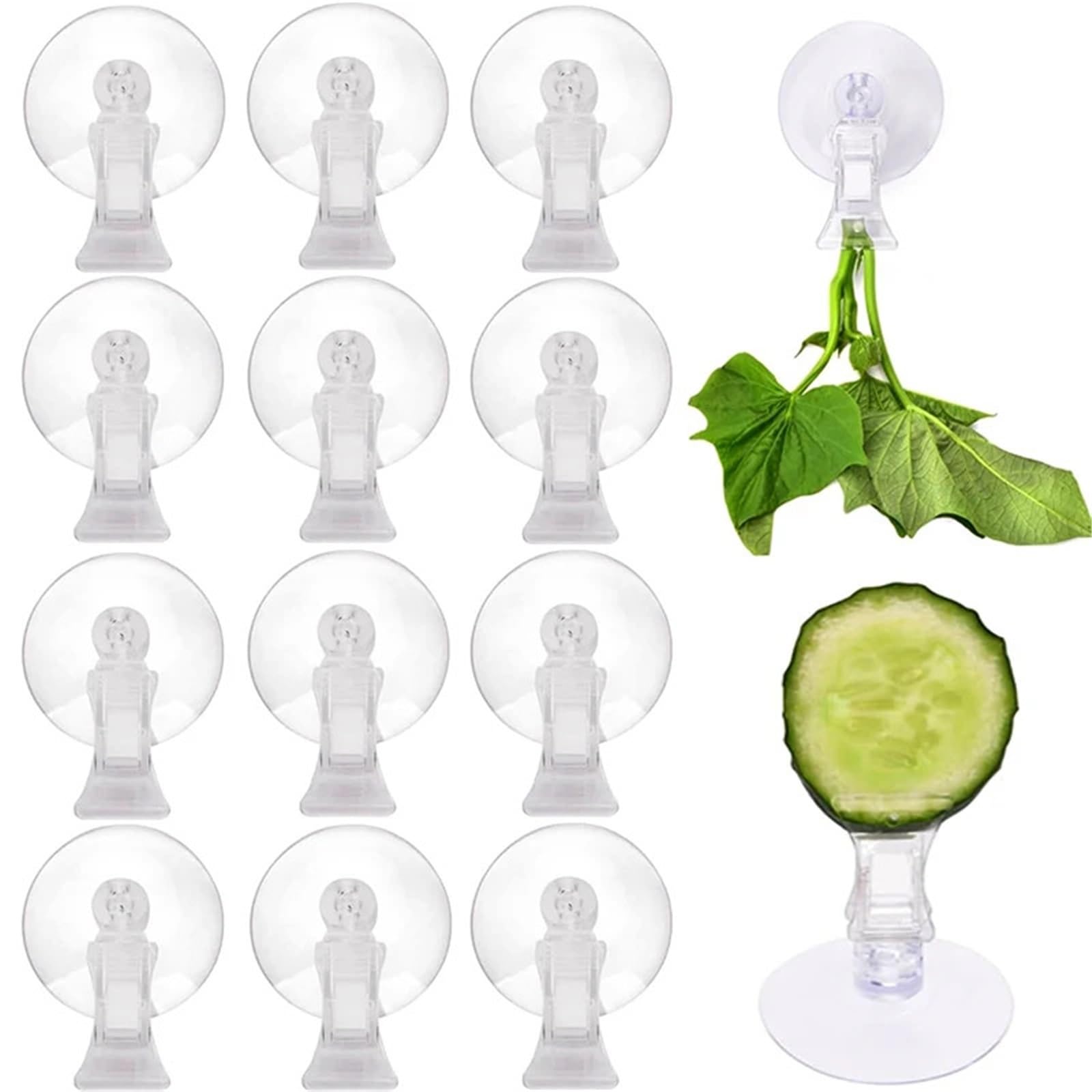 Vaeltor One Color 24Pcs Transparent Sucker Clamp Office Wall Suction Cup Clips Bathroom Window Clear Suction Cups Holder Mall Shop Display Hook
