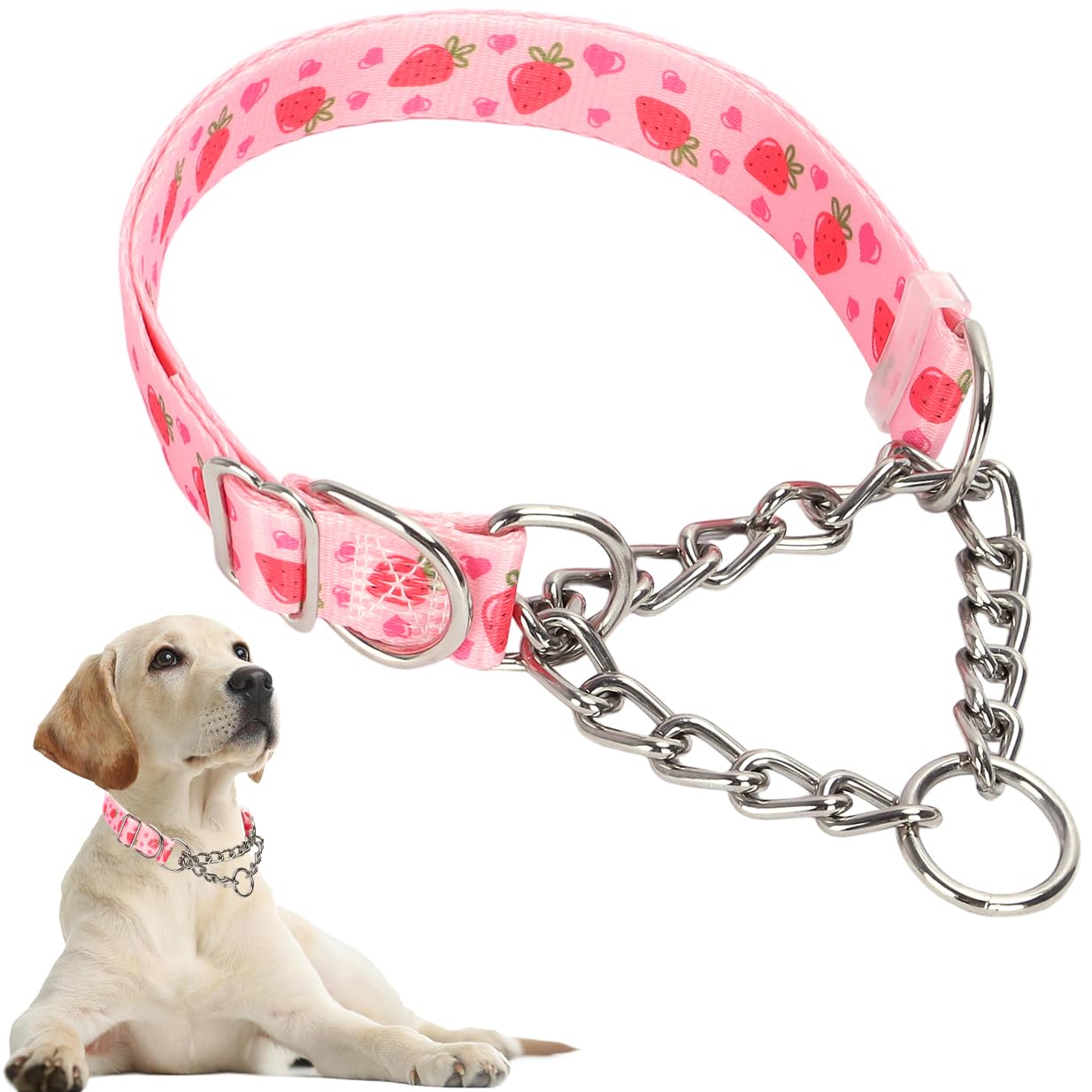 Chain Dog Collar