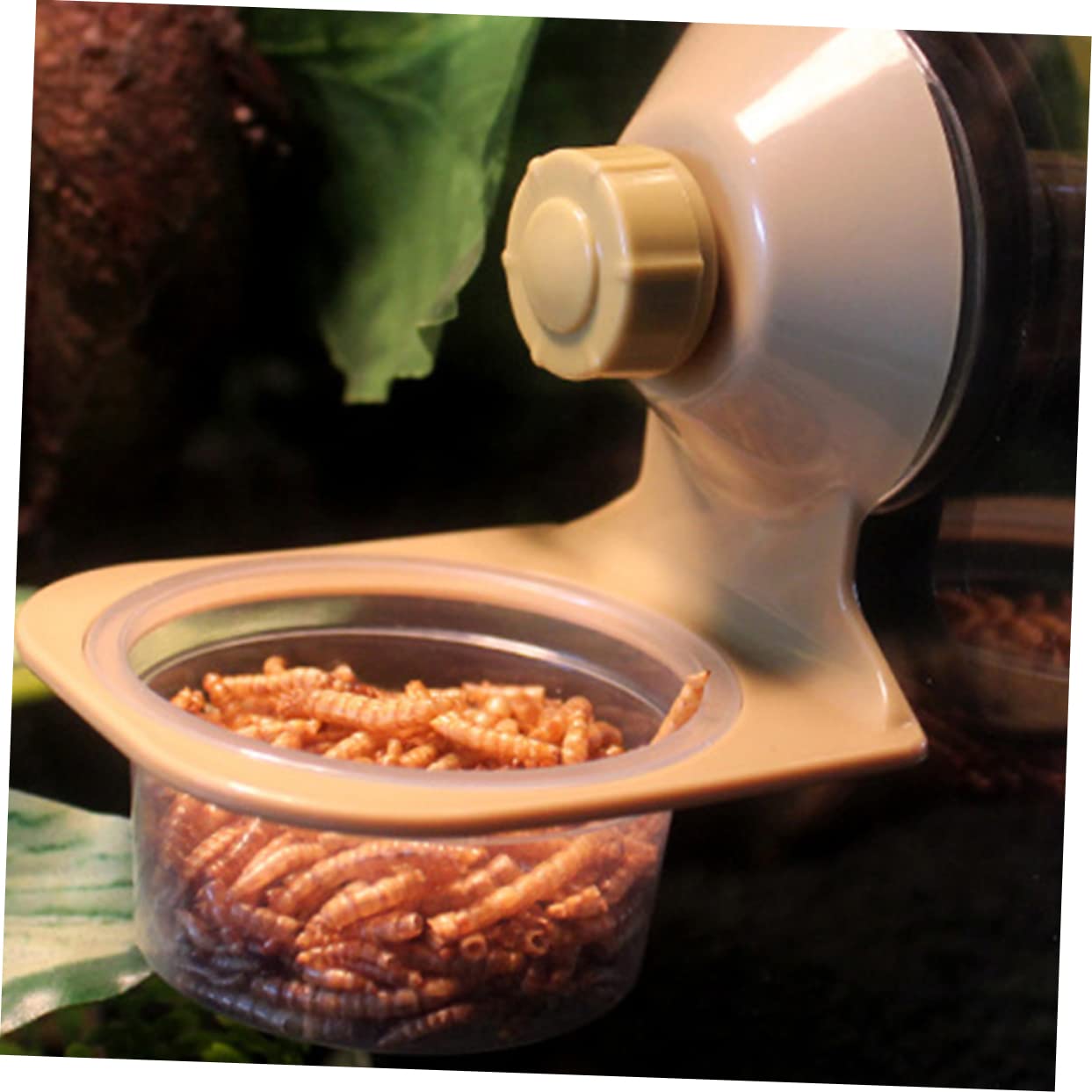 HOLIDYOYO 2pcs Reptile Food Bowl Large Tortoise Accessories Pet Lizard Tank Reptile Accessories Reptile Food Water Rock Bowls Reptile Water Bowl Feeding Dish Terrarium Turtle Food Feeder Pp