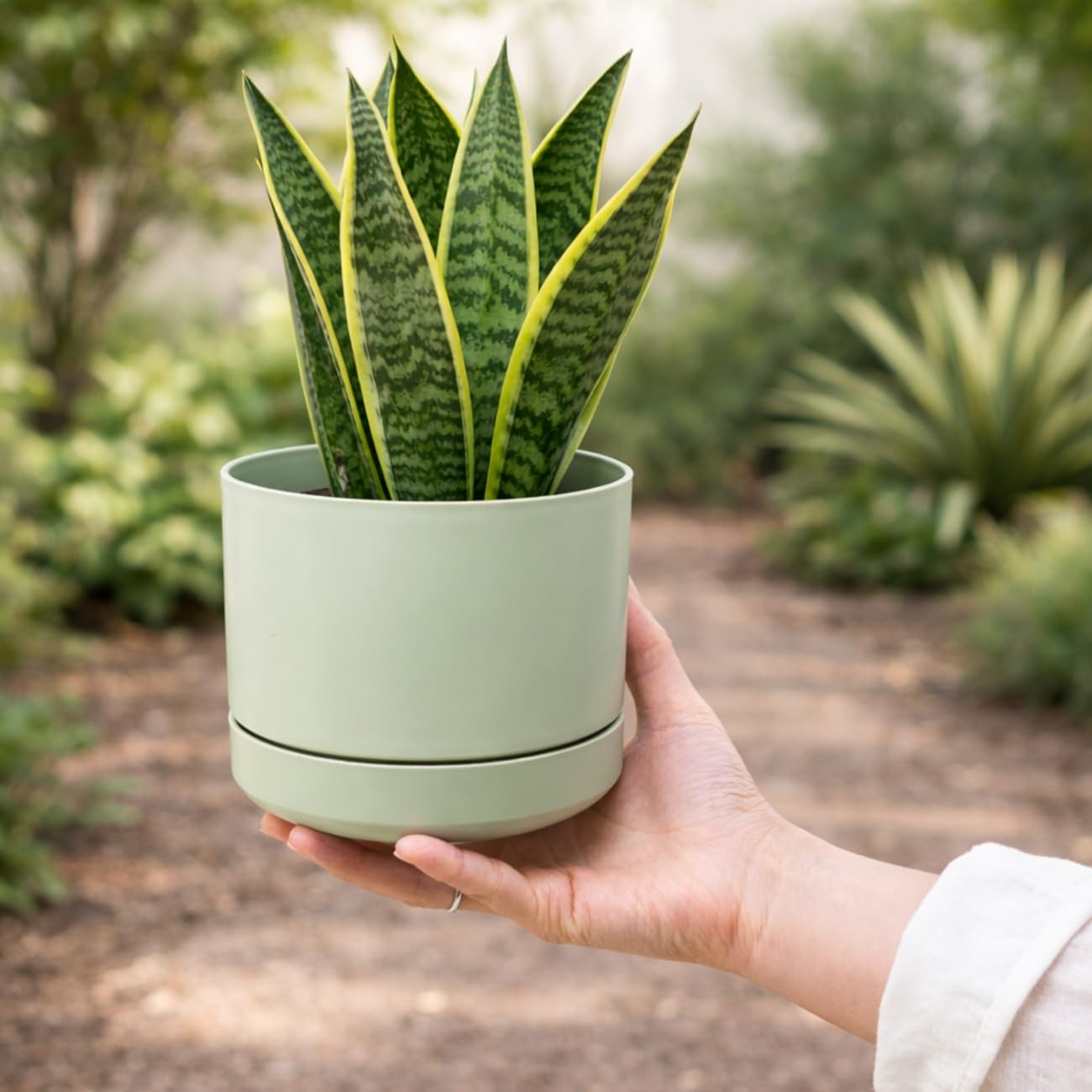 Maceteros Decorativos Interior Exterior 14 cm Pack 6 Macetas Plástico con Plato Incorporado, Tiestos para Plantas Interior, Plástico Resistente, Macetas Decorativas Modernas (6 x Pastel 14cm) — view 8
