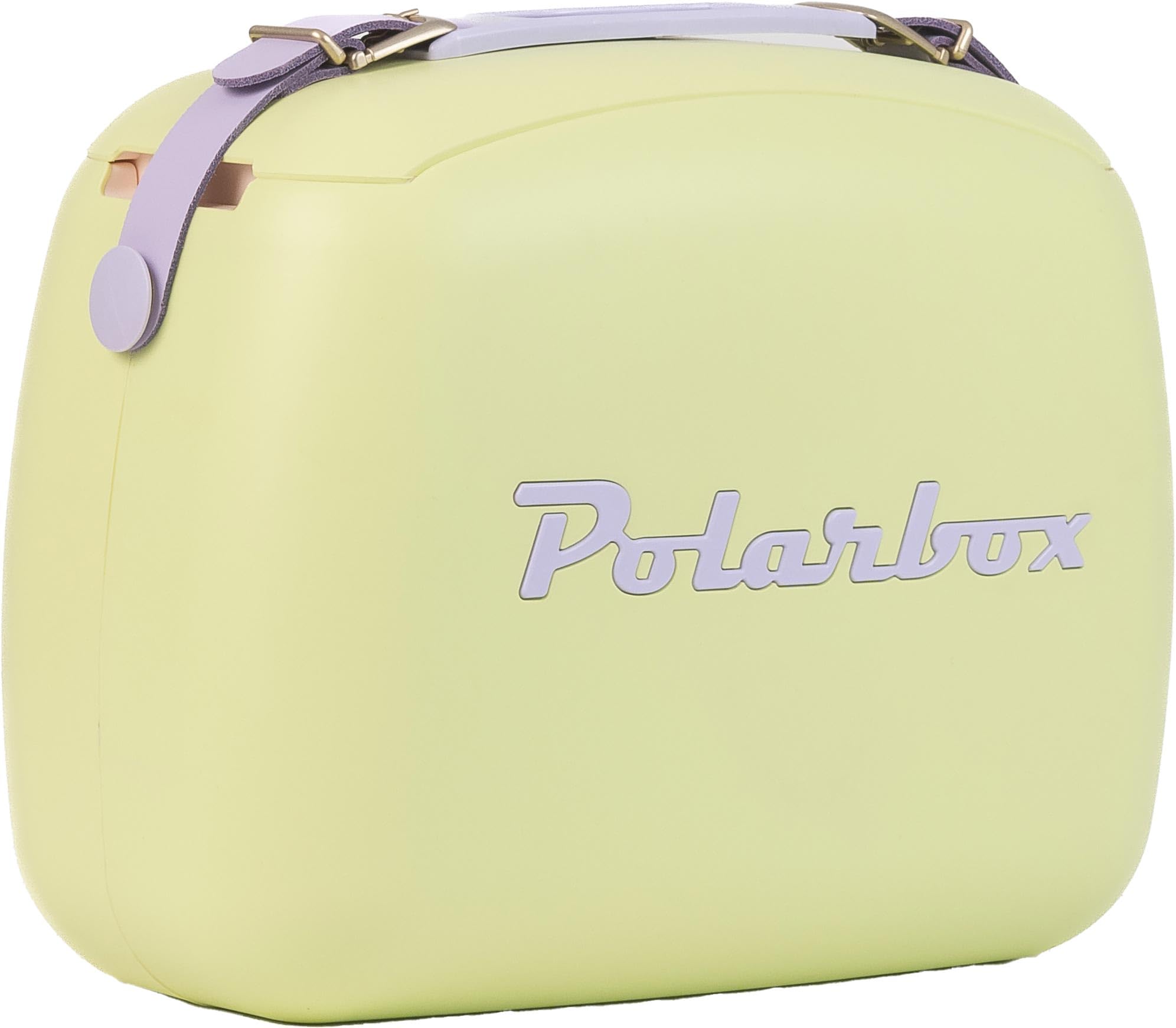 Polarbox Cooler Lunchbox 6L Verde Pop dettagli blu