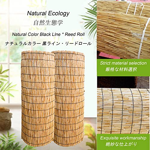 Bambú natural en persiana enrollable exterior para proyectos selectos 4