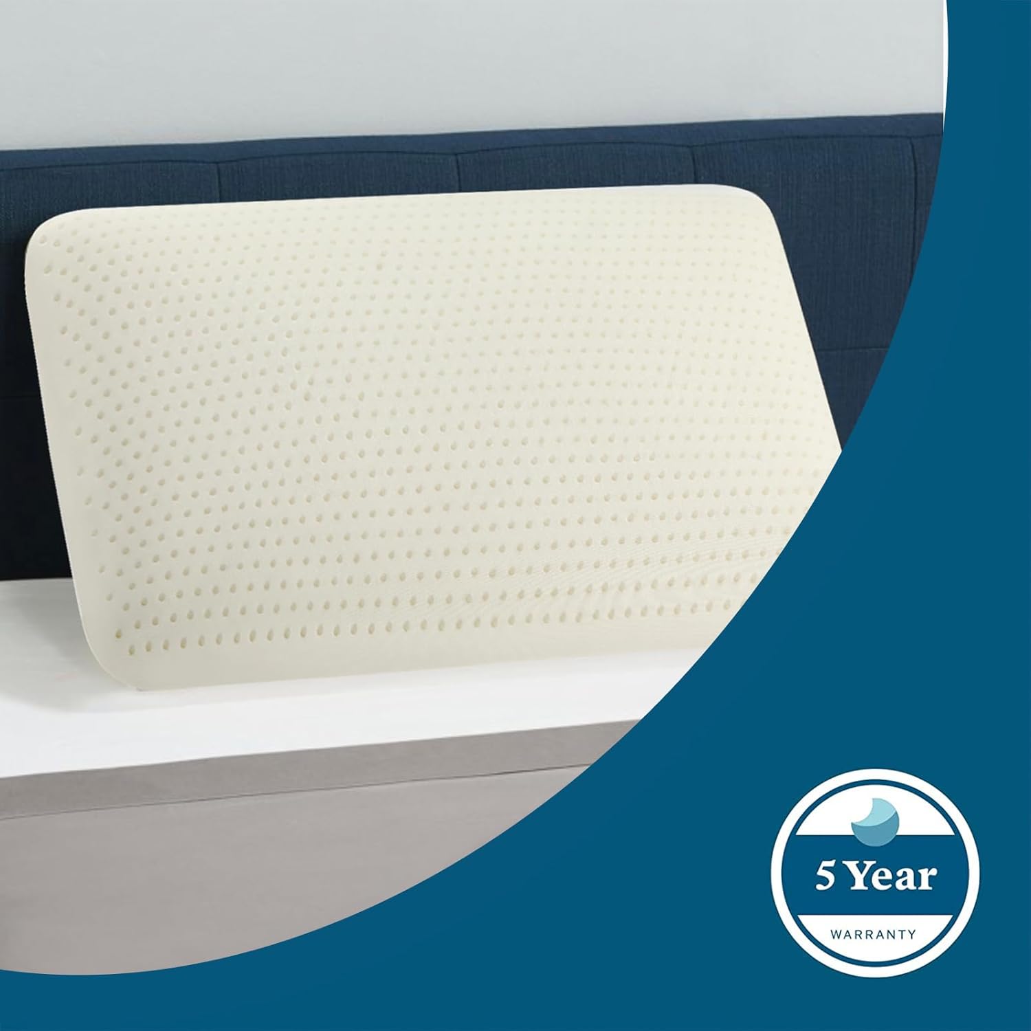 Latex Pillow, 100% Natural Talalay Latex Pillow with Removable Breathable Cotton Cover, Luxurious Standard Soft Bed Pillow for Side Back and Stomach Sleepers, Help Release Neck Pressure